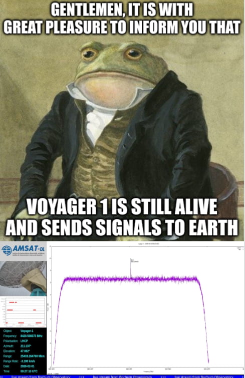 The image features an anthropomorphic frog dressed in formal 18th-century clothing (black coat, white cravat, brown waistcoat) with a serious, composed expression, sitting against a plain background. Bold uppercase text above the frog reads: 'GENTLEMEN, IT IS WITH GREAT PLEASURE TO INFORM YOU THAT', and below the frog: 'VOYAGER 1 IS STILL ALIVE AND SENDS SIGNALS TO EARTH'. The bottom portion includes a technical screenshot of a signal graph with a purple waveform, labeled with 'AMSAT-DL' in the top-left corner, showing data points like 'Voyager-1', 'Frequency', and timestamps, likely representing received signals from the Voyager 1 spacecraft. The combination humorously presents a formal announcement of Voyager 1's continued operation using a meme template.