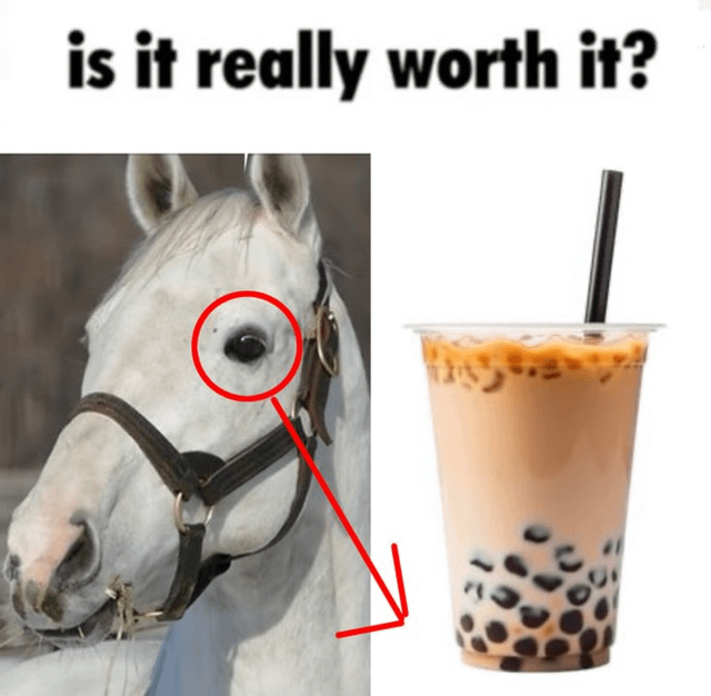 The meme features a split composition with a white horse on the left and a cup of bubble tea on the right. The horse's left eye is highlighted by a red circle, with a red arrow pointing from the circled eye to the bubble tea. At the top of the image, bold black text reads 'is it really worth it?'. The horse appears to have a serious, contemplative expression, creating a humorous or reflective contrast between the animal's intense gaze and the appealing bubble tea, suggesting a question about whether the indulgence is worth the implied effort or cost.