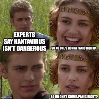 This is a 4-panel meme using footage from the meadow conversation scene between Anakin Skywalker and Padmé Amidala in *Star Wars: Episode II – Attack of the Clones*. The first panel displays text over Anakin in the background that reads 'EXPERTS SAY HANTAVIRUS ISN\'T DANGEROUS'. The second panel shows Padmé smiling hopefully with text that says 'SO NO ONE\'S GONNA PANIC RIGHT?'. The third panel is a close up of Anakin giving a skeptical, knowing look, implying he knows people will panic anyway. The fourth panel shows Padmé looking concerned and shocked as she repeats the line 'SO NO ONE\'S GONNA PANIC RIGHT?'. The joke satirizes widespread public overreaction and panic surrounding public health scares, particularly referencing the burst of hantavirus related news coverage that occurred shortly after the start of the global COVID-19 pandemic in 2020.