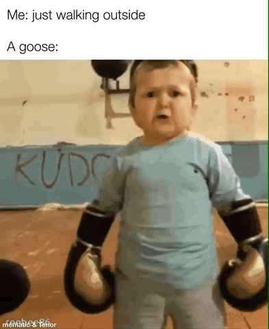 This is a single-panel meme. The top of the image has two lines of text: the first line reads "Me: just walking outside", and the second line reads "A goose:". Below the text is a viral photograph of a toddler wearing a light blue long-sleeve shirt and grey pants, standing in a gym with a basketball hoop and graffiti visible on the background wall. The toddler wears oversized black boxing gloves, faces the viewer directly, and has a confrontational, ready-to-fight expression. The joke relies on the widely known stereotype that geese are unprovokedly aggressive towards humans, comparing an average goose encountering a random pedestrian to the tough, fight-prepared toddler in the photo.