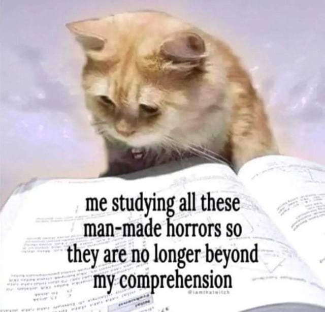 The meme features a fluffy orange cat intensely focused on reading an open document filled with dense, complex text. The overlaid text reads 'me studying all these man-made horrors so they are no longer beyond my comprehension', which humorously expresses the relatable feeling of being overwhelmed by the constant stream of distressing, confusing negative news events that have become prevalent after 2012, as people feel forced to process these bad events just to understand the state of the world.