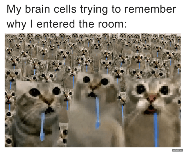 This is a relatable single-panel meme. The top text reads 'My brain cells trying to remember why I entered the room:', followed by a low-resolution field of dozens of identical crying cat faces, all with wide blank eyes and blue tear streams. A small number of larger, slightly more distorted crying cat faces appear in the foreground to emphasize the overwhelmed, confused state the text describes. The joke relies on the common universal experience of walking into a room and immediately forgetting the purpose of the trip, comparing the disorganized, scrambling effort to recall one's intent to a crowd of distressed, confused crying cats.