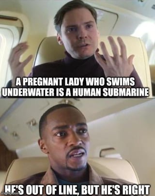 A meme featuring two men seated in airplane-like seats. The top man gestures with raised hands while the text above him reads, 'A PREGNANT LADY WHO SWIMS UNDERWATER IS A HUMAN SUBMARINE.' The bottom man sits with a neutral expression, accompanied by the text, 'HE'S OUT OF LINE, BUT HE'S RIGHT.' The humor stems from a pun comparing a pregnant woman swimming underwater to a submarine, blending absurdity with reluctant agreement.