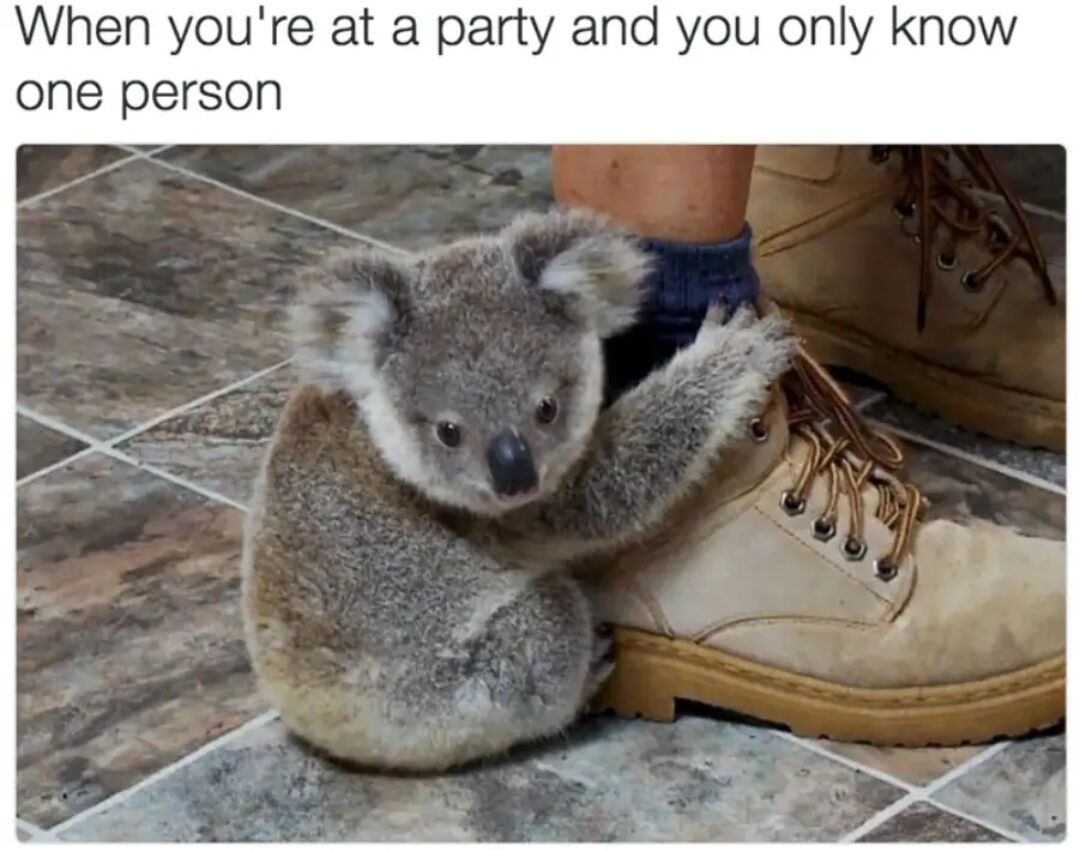 A meme featuring a small koala bear with gray fur and a black nose clinging tightly to a person's beige work boot with brown laces. The koala's large, expressive eyes and clingy posture convey a sense of reliance. The background consists of a tiled floor. Above the image, there is a text caption that reads: 'When you're at a party and you only know one person,' humorously drawing a parallel between the koala's behavior of clinging to the boot and the relatable social experience of sticking close to the only familiar person in an unfamiliar gathering.