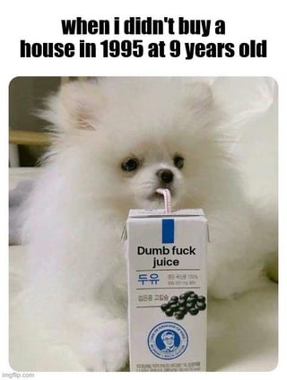 A meme featuring a small white Pomeranian dog sitting and drinking from a juice box. The juice box has been edited to display the text 'Dumb fuck juice' in English, with some Korean text below (likely original packaging). Above the dog, there is a caption: 'when i didn't buy a house in 1995 at 9 years old'. The humor stems from the absurdity of a 9-year-old being expected to purchase a house, sarcastic regret over missed financial opportunities, and the contrast between the dog's innocent action and the insulting juice box label.