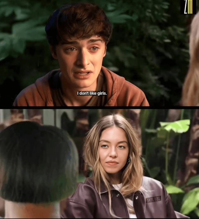 A two-panel meme featuring screenshots from a likely TV show or movie. The top panel shows a young man wearing a brown hoodie, sitting outdoors with greenery in the background, with a subtitle reading 'I don't like girls.' The bottom panel shows a young woman with long blonde hair, wearing a purple jacket, looking at the man, presumably reacting to his statement. The humor stems from the implied awkwardness or potential irony of his declaration, with the woman's neutral expression adding to the comedic effect.