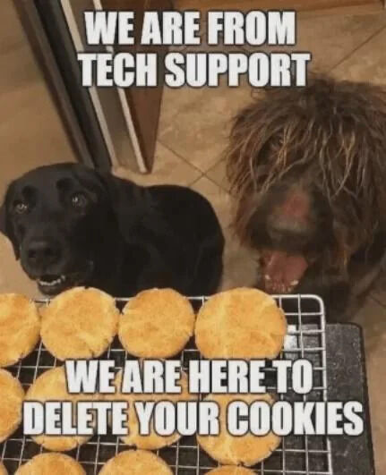 The image features two real dogs sitting in front of a metal cooling rack filled with golden-brown baked cookies. One dog is black with a friendly expression, and the other has shaggy fur and appears playful with its tongue slightly out. Overlaid text at the top reads 'WE ARE FROM TECH SUPPORT' and at the bottom reads 'WE ARE HERE TO DELETE YOUR COOKIES'. The humor stems from a pun on the word 'cookies'—tech support often refers to deleting browser cookies (small data files), but here the dogs are humorously portrayed as 'deleting' actual baked cookies.