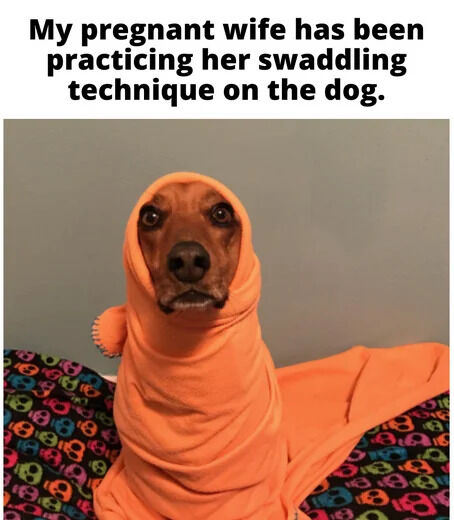 This is a lighthearted wholesome meme featuring a real brown dog, likely a dachshund, wrapped fully in a soft orange swaddle cloth with only its face visible. The dog stares directly at the camera with a resigned, slightly confused expression, positioned on a blanket printed with colorful neon skulls against a plain grey wall. Text at the top of the image explains that the poster's pregnant wife has been using the dog to practice her baby swaddling technique before their child is born. The humor comes from the dog's unimpressed reaction to being used as a test subject for new parent preparations, and the relatable, sweet chaos of preparing for a new baby.