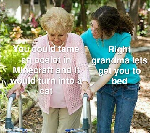 The meme uses a stock photo of a young woman assisting an elderly grandmother who uses a mobility walker, walking on an outdoor path surrounded by greenery. White text is overlaid on each person: the text over the grandmother reads "You could tame an ocelot in Minecraft and it would turn into a cat", referencing outdated Minecraft game mechanics where taming ocelots converted them into domestic cats. The text over the young woman reads "Right grandma lets get you to bed". The joke relies on the relatable intergenerational dynamic of an older relative rambling about random, out-of-context, slightly outdated trivia, while the younger caregiver humors them before gently guiding them to rest.