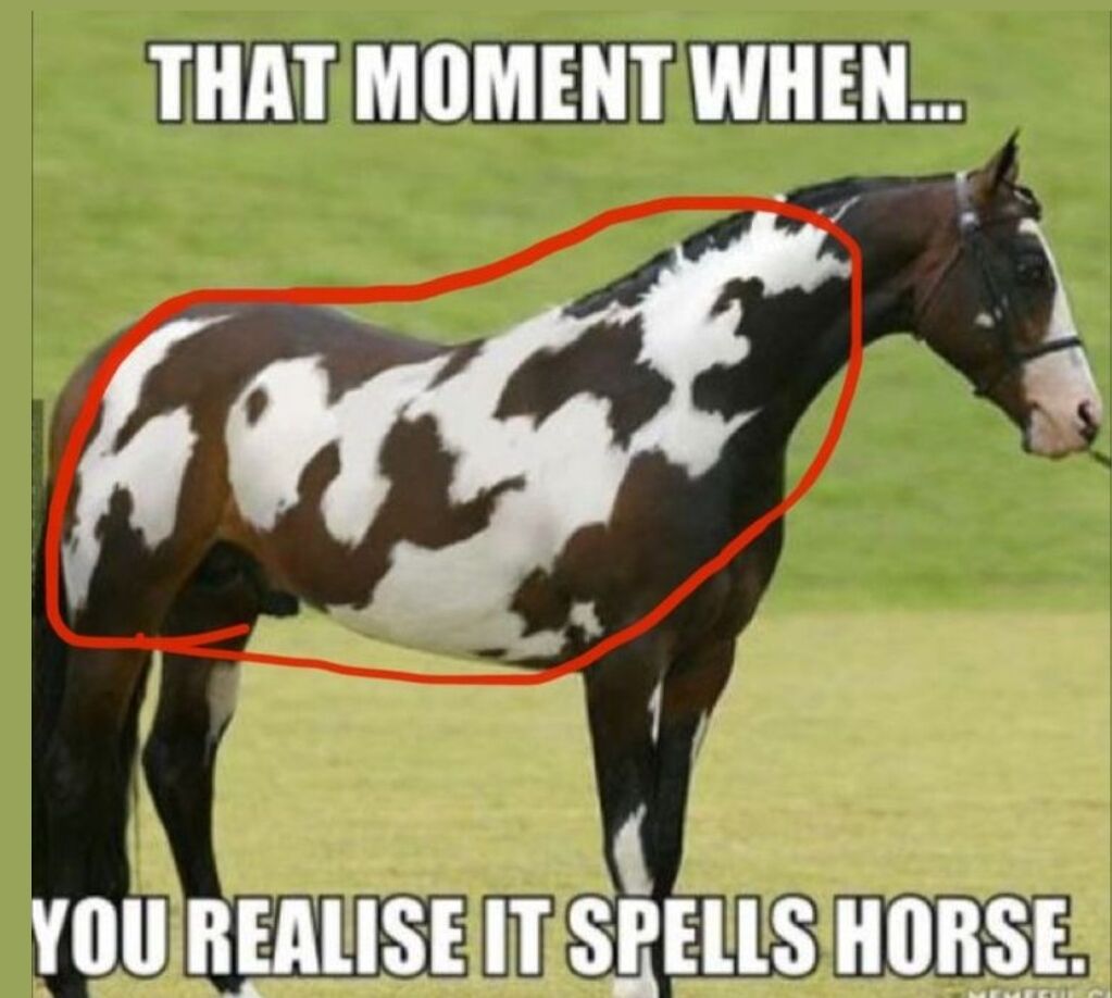 This meme features a photograph of a brown and white pinto horse standing on a light green grassy field. A red circle is drawn around the horse's torso to highlight its irregular white coat patches. The white patches are arranged such that they visually spell out the word 'HORSE' when read sequentially from left to right across the horse's body. Text at the top of the image reads 'THAT MOMENT WHEN...' and text at the bottom reads 'YOU REALISE IT SPELLS HORSE.' The humor comes from the surprising, seemingly accidental hidden word that matches the name of the animal itself, forming a clever, lighthearted visual pun.