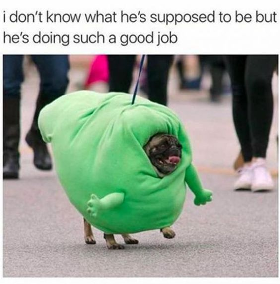This wholesome meme features a real pug dog walking outdoors on a leash, wearing a large, round bright green costume with two tiny plush green arms attached to the costume. Only the pug's head and four small legs are visible outside the costume, and the pug looks happy with its tongue sticking out as it walks. Text overlaid at the top of the image reads 'i don't know what he's supposed to be but he's doing such a good job'. Several people's legs are visible in the background, indicating this is likely a public costume event or parade.