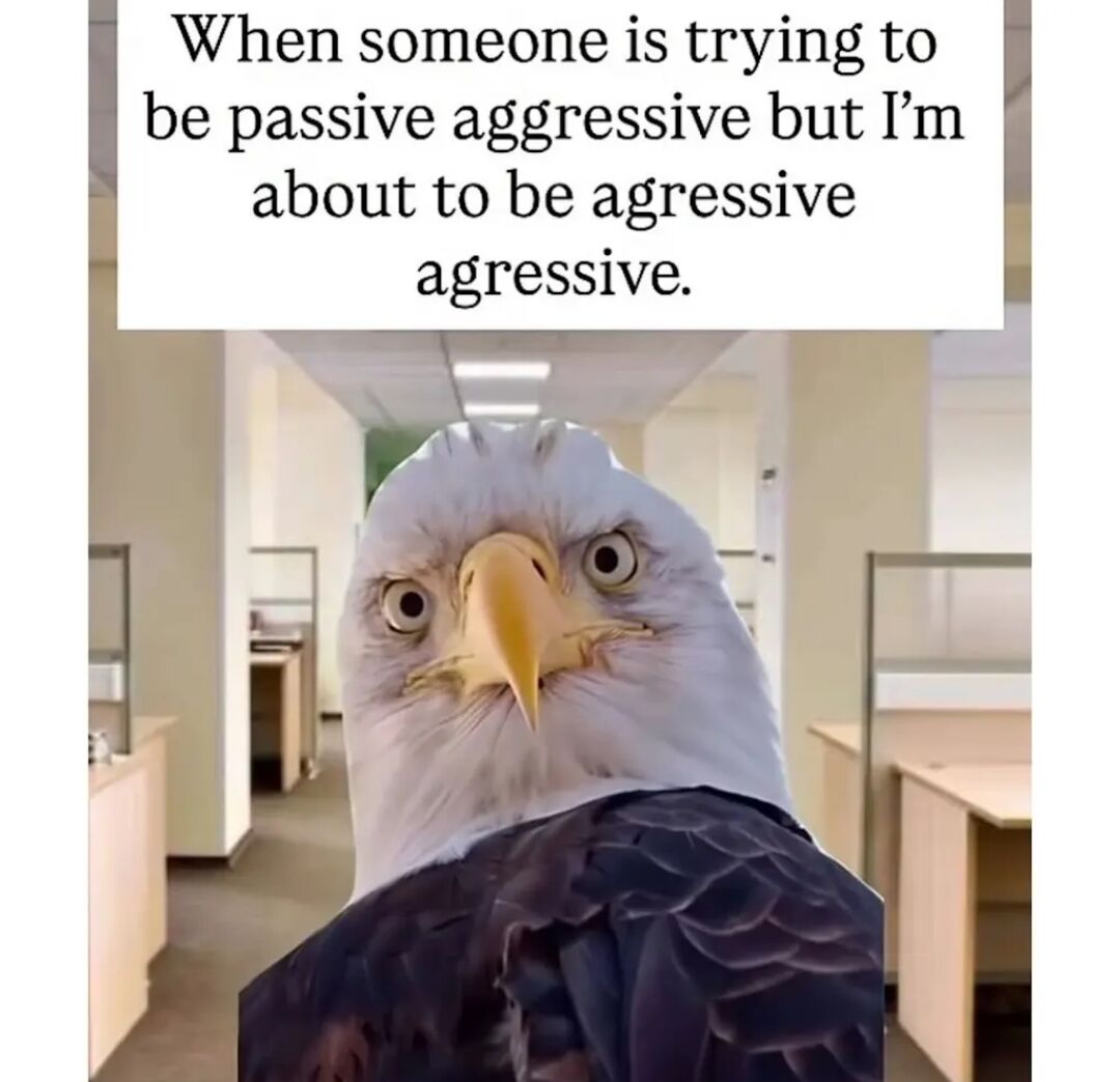 This is a single-panel reaction meme featuring a close-up shot of a bald eagle with an extremely intense, wide-eyed confrontational stare directly at the viewer, edited into an office hallway background. The text at the top of the image reads 'When someone is trying to be passive aggressive but I'm about to be agressive agressive', with a humorous repeated misspelling of 'aggressive' that emphasizes the poster's upcoming open confrontation. The eagle's threatening, intense expression perfectly sells the joke of being fed up with passive aggressive behavior and ready to be openly aggressive in return.