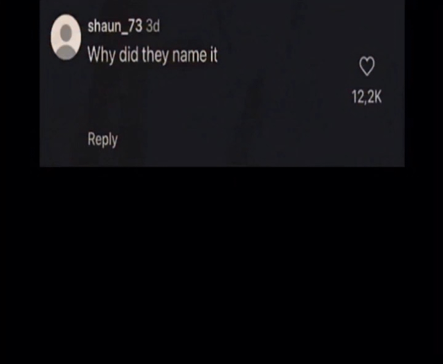 This is a Reddit meme consisting of a screenshot of an incomplete social media comment paired with the post title. The comment, left by user shaun_73 3 days before the screenshot was captured, cuts off mid-sentence at "Why did they name it", with no additional context to indicate what "it" refers to. The comment has 12.2 thousand likes, and a reply option is visible below the comment text, with a large blank black space under the comment line. The humor comes from the post title revealing that there is no actual context or answer to the question, and the unfinished line exists solely for dramatic comedic effect, letting viewers project their own interpretations onto the open-ended question.