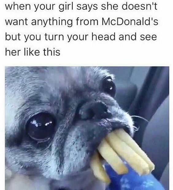 A meme composed of a textual caption and an image. The caption at the top reads: 'when your girl says she doesn't want anything from McDonald's but you turn your head and see her like this'. Below the caption is a photograph of a pug dog sitting in a car, with its mouth full of French fries, displaying a guilty yet cute expression as if caught in the act of eating despite previously denying wanting McDonald's food.