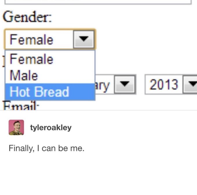 The image consists of two parts: the upper section is a screenshot of a web form's gender selection dropdown menu. The standard options are Female and Male, but a third absurd option 'Hot Bread' is highlighted as selected. Below the form, a social media post from user tyleroakley has the caption 'Finally, I can be me.', humorously reacting to the weird form option as if it perfectly matches the user's identity. The joke plays on the trope of limited or broken gender options on online forms, leaning into absurdist humor by presenting an unrelated food item as a valid gender identity.