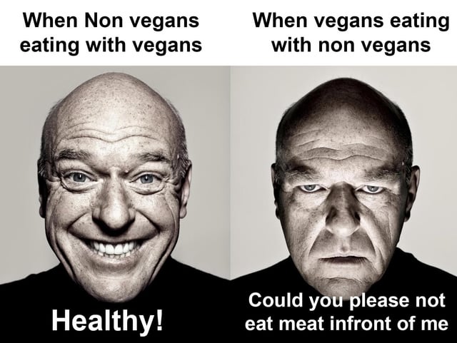 A two-panel meme featuring a bald man's contrasting reactions to dining scenarios. The left panel, labeled 'When Non vegans eating with vegans,' shows the man smiling widely with the text 'Healthy!' below, depicting a non-vegan's positive reaction. The right panel, labeled 'When vegans eating with non vegans,' shows the same man frowning with a displeased expression, accompanied by the text 'Could you please not eat meat infront of me,' satirizing a vegan's annoyed reaction to meat-eating in their presence. The meme uses humor to exaggerate social dynamics between vegans and non-vegans during meals.