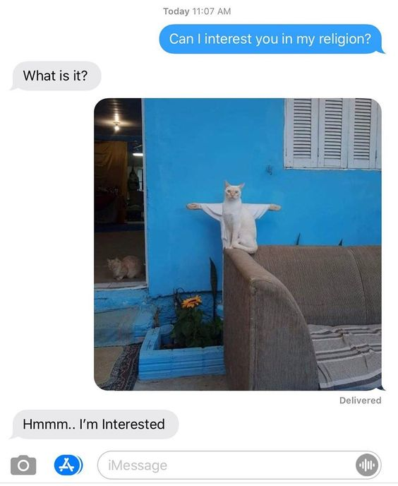 This image is a screenshot of an Apple iMessage conversation between two users. The first user initiates with the question: *Can I interest you in my religion?*. The second user responds *What is it?*, prompting the first user to send a photograph of a white cat sitting on the arm of a couch, with its front paws resting on a bright blue wall behind it. The cat's positioning creates a forced perspective optical illusion, making it appear as if it is crucified like Jesus Christ, mimicking the iconic religious imagery. The second user then replies *Hmmm.. I'm Interested*, playing along with the joke of the cat being the center of a made-up 'religion'. In the background of the photo, a second brown cat is visible lying in a doorway. The humor comes from the absurdity of framing a cat in a silly, coincidental pose as a religious figure, creating a lighthearted, wholesome gag.