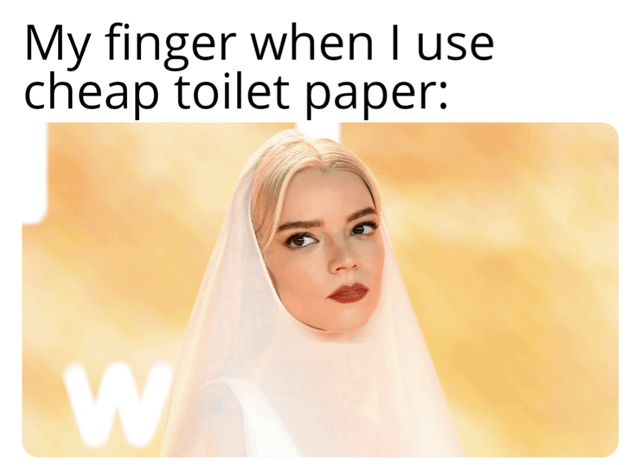 A meme featuring a real person wearing a white veil against a golden background. The top text reads 'My finger when I use cheap toilet paper:', humorously comparing the state of one's finger after using low-quality toilet paper to the person's veiled appearance, implying the finger might need covering or cleaning due to potential messiness.
