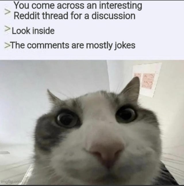 This relatable meme describes a common experience for Reddit users. The top section lists three sequential steps: a user finds an interesting Reddit thread meant for serious discussion, opens the thread to view content, and discovers the comments section is almost entirely filled with jokes instead of on-topic discussion. Below the text is a well-known close-up photograph of a grey and white cat with wide, shocked staring eyes directed at the camera, which conveys the feeling of being caught off guard or disappointed by the lack of actual discussion in the thread.