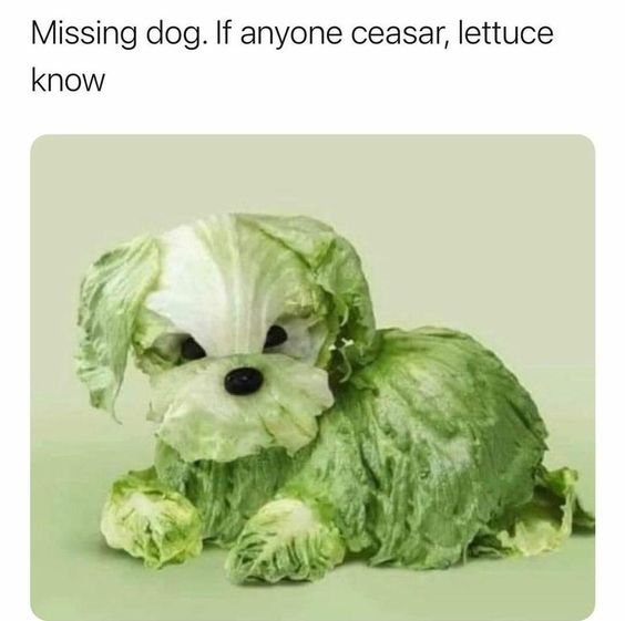 This is a lighthearted silly pun meme formatted like a missing dog notice. At the top, the text reads 'Missing dog. If anyone ceasar, lettuce know' which uses homophone wordplay: 'ceasar' sounds like 'see her' and 'lettuce' sounds like 'let us', so the phrase actually means 'If anyone sees her, let us know', which is a common line on missing pet posters. Below the text, there is a sculpture of a dog shaped entirely out of green lettuce and cabbage leaves, which ties the pun together visually: Caesar salad is a popular lettuce-based salad, so the joke combines the wordplay with a literal lettuce/Caesar dog.