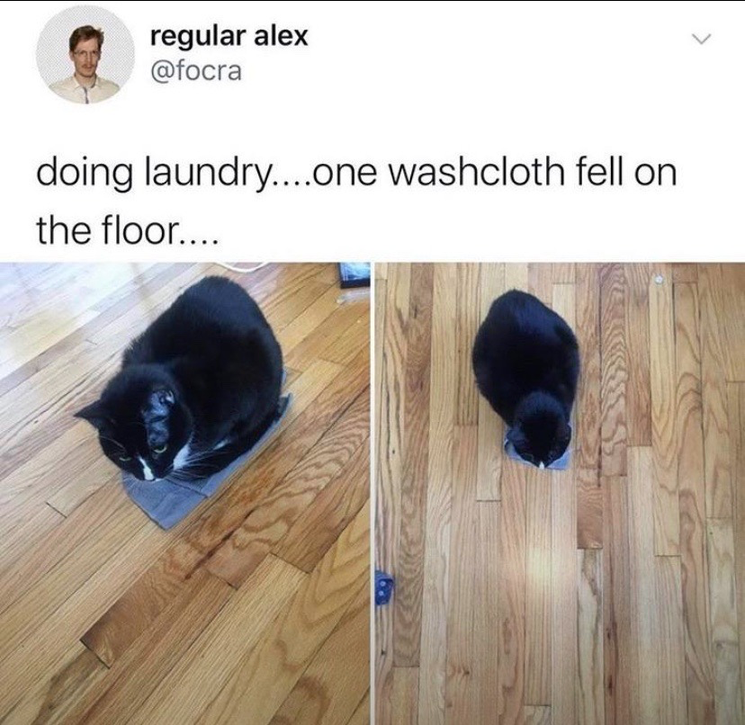 This is a two-panel screenshot of a post from X (formerly Twitter). The post text reads "doing laundry....one washcloth fell on the floor....". The left panel shows a black cat with white facial markings sitting directly on the small grey washcloth that fell on a wooden floor, looking slightly up. The right panel is a higher-angle shot of the same cat, still sitting perfectly centered on the tiny washcloth, emphasizing how small the cloth is under the cat. The humor comes from the very common, relatable cat behavior of choosing to sit on any small new object that appears on the floor, no matter how impractical the object is as a sitting surface.
