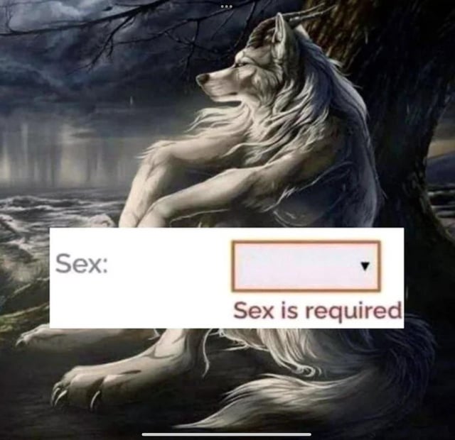 The meme features the widely recognized stoic, brooding white sigma wolf fantasy art, which is strongly associated with the sigma male internet archetype of an independent, unorthodox, self-sufficient person who rejects standard social labels. The wolf is posed leaning against a tree against a dark, stormy, rainy forest background. A screenshot of a web form input is overlaid on the lower half of the image: it shows a field labeled "Sex:" with an empty dropdown box, and a required field error below it reading "Sex is required". The humor comes from the stark contrast between the sigma persona that rejects conventional categorization, and the mundane, unavoidable requirement to select a standard sex/gender option on official forms that breaks the sigma persona.