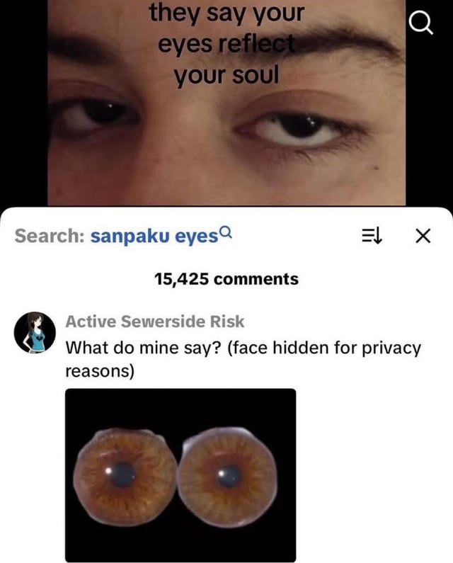 The meme has two core sections: the top portion shows a close-up of a person's partial face, only displaying their eyes and eyebrows, with overlaid text stating 'they say your eyes reflect your soul'. Below this is a screenshot of a Reddit search page for the term 'sanpaku eyes', noting there are 15,425 comments on the associated post. A comment from user 'Active Sewerside Risk' reads 'What do mine say? (face hidden for privacy reasons)', paired with an image of two separate, disembodied artificial brown eyeballs against a plain black background. The comedic effect comes from the absurd subversion of the original premise: rather than sharing an image of their face to show their eyes for interpretation, the user shares unconnected, standalone eyeballs, making the question of what their eyes reveal about their soul entirely nonsensical, as the eyes are not attached to any person.