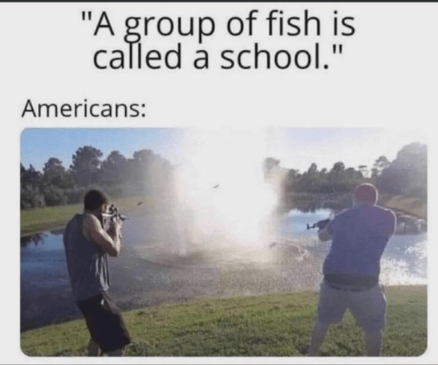 This meme uses wordplay and a common cultural stereotype about the United States to create a darkly humorous joke. It opens with the factual statement that the collective noun for a group of fish is called a 'school'. The punchline labels the following image as 'Americans:', showing two real men opening fire with rifles from opposite shores of a pond that holds a school (group) of fish. The pun relies on the double meaning of the word 'school', referencing the high frequency of school shootings in the US, implying that Americans react to the word 'school' with gunfire.