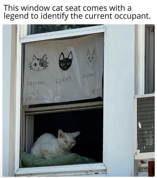 The meme displays a residential window. At the top of the image, overlay text reads "This window cat seat comes with a legend to identify the current occupant". The upper section of the window has a printed paper sign with hand-drawn illustrations of three cat heads, each labeled respectively: Squirrel (a fluffy grey and white cat), Lucky (a solid black cat), and Hubris (a stylized pointy-faced cat). The lower open section of the window holds a green cushion occupied by a grumpy-looking white cat that does not match any of the three cats on the provided legend, forming the core joke of the unexpected, unlisted occupant.