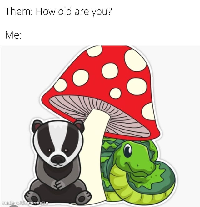 A meme featuring text at the top: 'Them: How old are you?' followed by 'Me:'. Below the text is an illustration of a black and white badger sitting with clasped hands, a green turtle curled up next to a large red mushroom with white spots and a white stem. The mushroom has visible pinkish gills under its cap. A watermark 'made with mematic' is present at the bottom left corner. The image humorously uses the whimsical combination of animals and a mushroom to non-verbally respond to the age question, creating a lighthearted and evasive vibe.