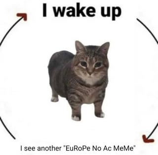 This single panel static meme uses an infinite loop cycle format, with a deadpan, unimpressed chonky tabby cat placed at the center of the frame. A clockwise circular arrow connects two text elements placed around the cat: the top text reads "I wake up", and the bottom text reads "I see another 'EuRoPe No Ac MeMe'". The structure implies the meme creator is trapped in a frustrating, repetitive loop of encountering the overused joke about low air conditioning adoption rates across European regions every time they go online after waking up. The cat's neutral, tired expression perfectly conveys the exasperation of being fed up with this overdone, recurring internet meme trend.