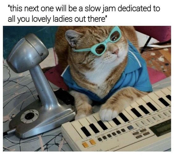 This meme features a real orange tabby cat dressed in a blue collared shirt and light blue sunglasses, positioned with its front paws on an electronic keyboard in front of a vintage-style microphone. The text at the top of the image reads: *"this next one will be a slow jam dedicated to all you lovely ladies out there"*. The humor comes from the anthropomorphism of the cat, framing it as a suave, retro lounge singer performing a romantic slow jam for an audience of women. The cat's relaxed, slightly smug expression paired with the human-like performance setup creates a silly, wholesome contrast between a domestic pet and a smooth entertainer, making it a lighthearted, funny piece of animal meme content.