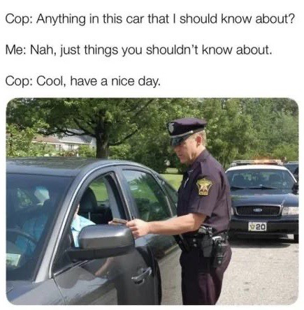This meme consists of three lines of fictional dialogue at the top paired with a real photograph of a police officer conducting a traffic stop. The dialogue depicts an absurd scenario: when the officer asks if there is anything in the car he should know about, the driver sarcastically replies that there are only things the officer should not know about, and the officer uncharacteristically accepts this answer and tells the driver to have a nice day. The humor comes from the contrast between this implausible positive interaction and the real-world expectation that such a response would lead to the car being searched and the driver receiving a ticket or arrest.
