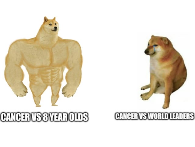This is a two-panel meme using the widely recognized Swole Doge vs Crying Cheems format. The left panel features a muscular, buff version of the Doge shiba inu character, labeled 'CANCER VS 8 YEAR OLDS', depicting cancer as extremely powerful when affecting young vulnerable children. The right panel shows a small, sad crying Cheems shiba inu character, labeled 'CANCER VS WORLD LEADERS', implying cancer appears weak and ineffective against powerful political figures. The meme highlights a perceived frustrating double standard that cancer disproportionately harms vulnerable groups while powerful people are far less affected, or that world leaders do not take enough action to research cures for cancer.