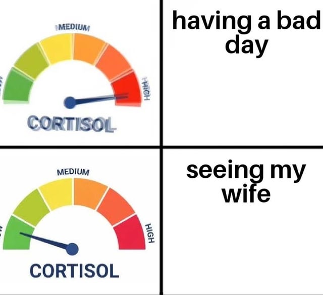 This is a 2x2 grid 4-panel meme comparing cortisol (the primary human stress hormone) levels across two scenarios. The top row shows the cortisol gauge with its needle pointing to the highest red 'HIGH' level, paired with the text 'having a bad day' to indicate that a bad day causes extremely elevated stress. The bottom row shows the same cortisol gauge with its needle pointing to the lowest green low level, paired with the text 'seeing my wife', conveying that encountering one's wife immediately eliminates stress, tying to the common adage 'happy wife happy life' to express appreciation for one's spouse and the positive impact they have on mood.