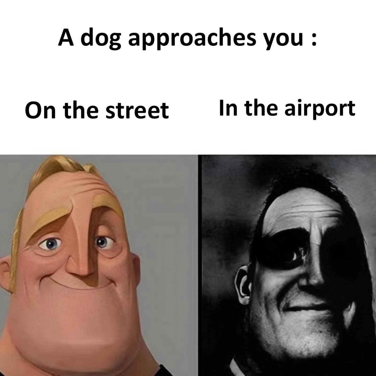 This is a two-panel comparative meme using the popular Mr. Incredible normal vs. uncanny template. The top introductory text reads "A dog approaches you :". The left panel is labeled "On the street" and features the regular, brightly lit, smiling version of Mr. Incredible, representing the happy, positive reaction most people have when meeting a friendly pet dog in a casual public setting. The right panel is labeled "In the airport" and features the dark, unsettling, heavily shadowed "uncanny" version of Mr. Incredible, representing the discomfort or anxiety people feel when approached by a sniffer dog at an airport, as these dogs are trained to detect illegal or restricted items.