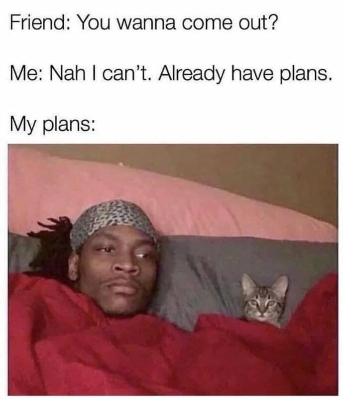A meme consisting of text and an image. The text at the top reads: 'Friend: You wanna come out? Me: Nah I can't. Already have plans. My plans:' followed by a photo of a person lying in bed under a red blanket, with a small cat peeking out from the blanket next to them. The person has dreadlocks and a patterned head covering, appearing relaxed. The cat has a calm expression, looking directly at the camera. The humor comes from the contrast between the friend's invitation to go out and the 'plans' being staying in bed with the cat, highlighting a relatable preference for cozy, low-key activities.