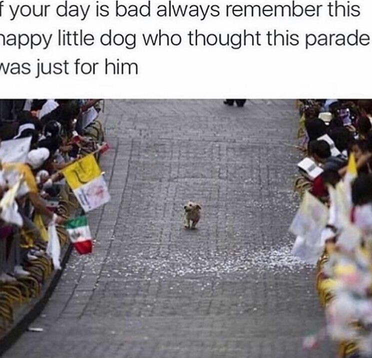 This is a wholesome uplifting meme designed to cheer up people having a bad day. At the top of the image, there is overlay text that reads 'If your day is bad always remember this happy little dog who thought this parade was just for him'. Below the text is a photo of a small tan dog walking proudly alone down the center of a stone parade route, with large crowds of onlookers lined up on both sides holding signs and flags, all watching the dog. The dog appears to believe the entire public parade is being held in his honor, creating a sweet, heartwarming moment.