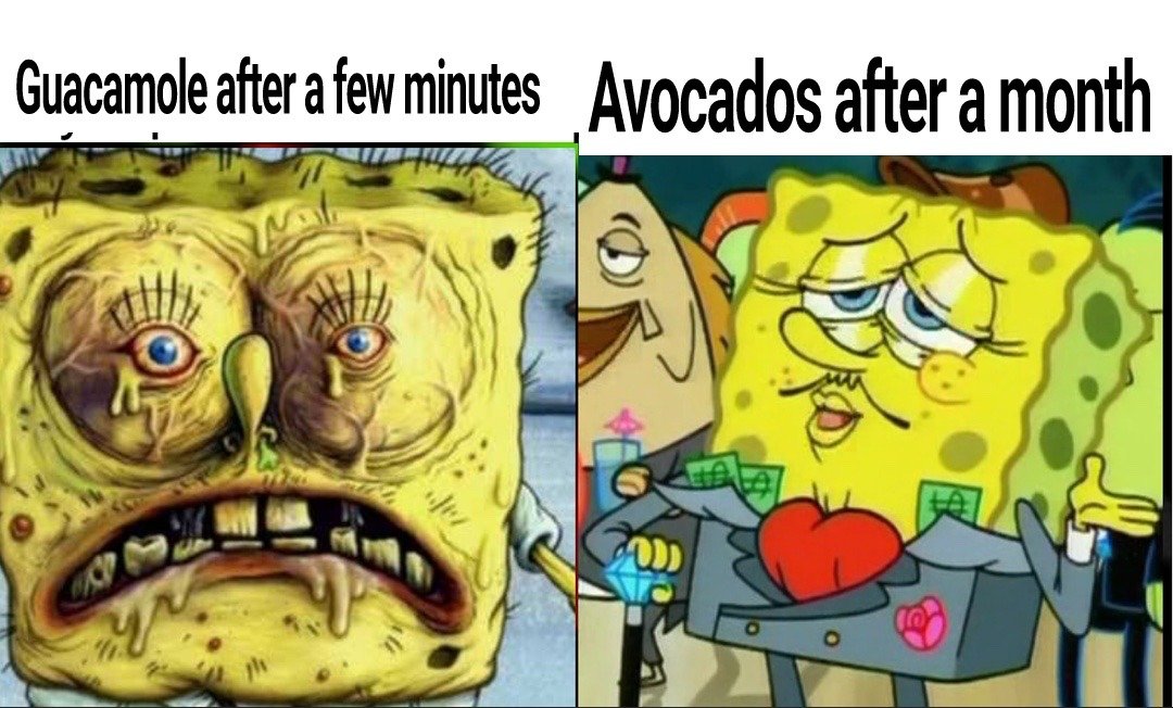 This two-panel relatable food meme uses contrasting edits of the cartoon character SpongeBob SquarePants to joke about the extreme difference in shelf life between prepared guacamole and whole unripe avocados. The left panel features a distorted, decaying, visibly unappetizing version of SpongeBob, labeled 'Guacamole after a few minutes', referencing how quickly fresh guacamole oxidizes, browns, and becomes unpalatable shortly after being made. The right panel shows a canon rich, fancy, suit-wearing version of SpongeBob holding money and luxury items, labeled 'Avocados after a month', poking fun at how whole uncut avocados often take an extremely long time to ripen and stay edible for far longer than prepared guacamole.