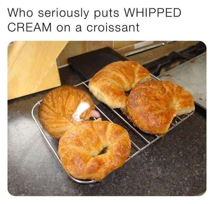 This meme uses a playful visual gag to create a wholesome, silly joke. An orange tabby cat is curled tightly on a metal cooling rack, positioned alongside three real croissants—its shape perfectly mimics a croissant, and its white-pink nose area looks like a dollop of whipped cream. The top text reads: *"Who seriously puts WHIPPED CREAM on a croissant"*, which acts as the punchline, framing the cat as an odd croissant variant with whipped cream. The meme leans into the visual similarity between the cat and the pastries, resulting in a lighthearted, wholesome moment.