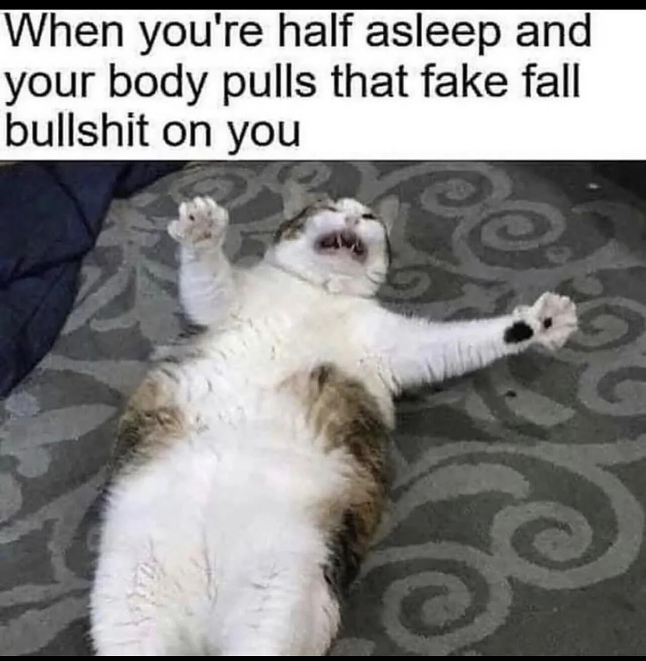 A meme consisting of a top text caption and a photograph of a cat. The top text reads: 'When you're half asleep and your body pulls that fake fall bullshit on you'. Below the text is a photograph of a white and gray cat lying on its back on a patterned gray carpet. The cat has its front paws raised, mouth open, and appears to be in a startled or shocked state, which humorously mimics the feeling of the body's sudden 'fake fall' sensation when half-asleep. The meme uses the cat's expressive posture to visually represent the relatable experience of involuntary muscle jerks or the sensation of falling while dozing off.