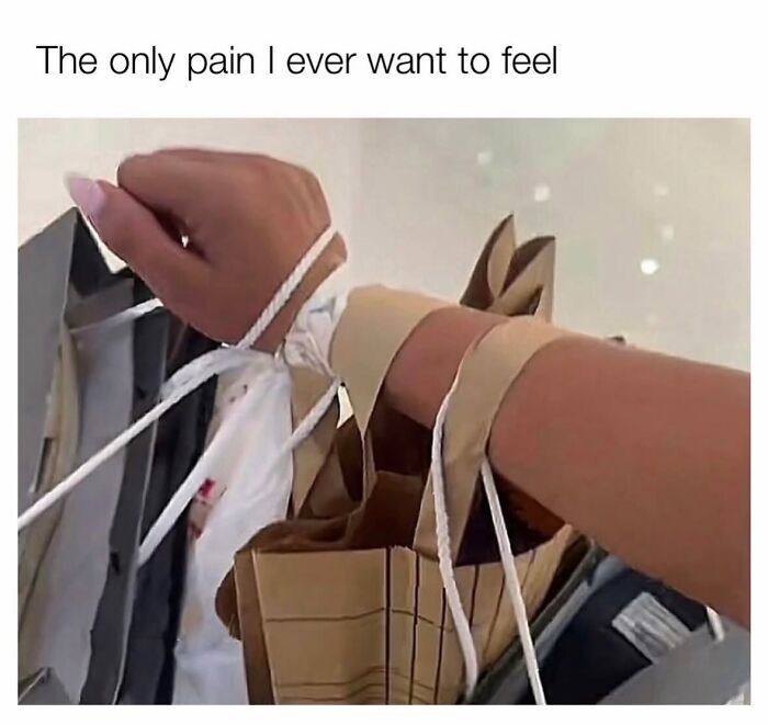 The meme presents a first-person perspective of a person's arms holding multiple heavy shopping bags, with the bag handles pressed into their wrists and forearms causing minor physical discomfort. The text at the top reads "The only pain I ever want to feel", humorously conveying that the minor soreness from carrying many newly purchased items after a successful shopping trip is the only type of pain people would willingly choose to experience, as opposed to other unwanted emotional or physical pain from everyday life struggles.