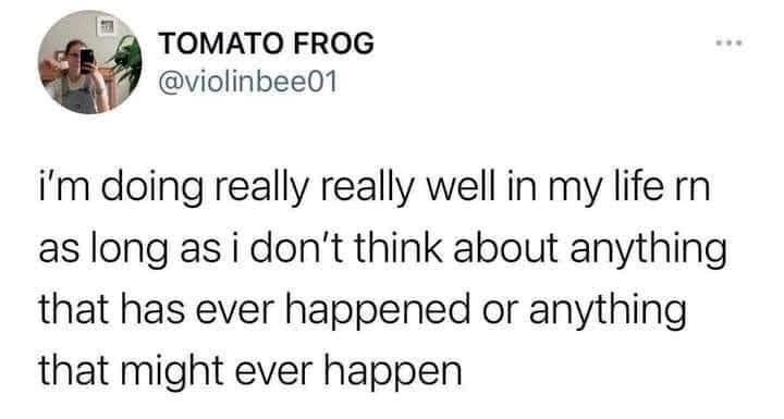 This image is a screenshot of a public tweet posted on the X (formerly Twitter) platform. The tweet is from user @violinbee01, who uses the display name TOMATO FROG, with a mirror selfie as their profile picture. The tweet text reads: 'i'm doing really really well in my life rn as long as i don't think about anything that has ever happened or anything that might ever happen'. The humorous, relatable joke lies in the admission that the speaker's current perceived positive life state is only sustainable by deliberately avoiding thinking about stressful past events or anxiety-inducing future possibilities, a common experience for people managing stress, anxiety, or existential dread.