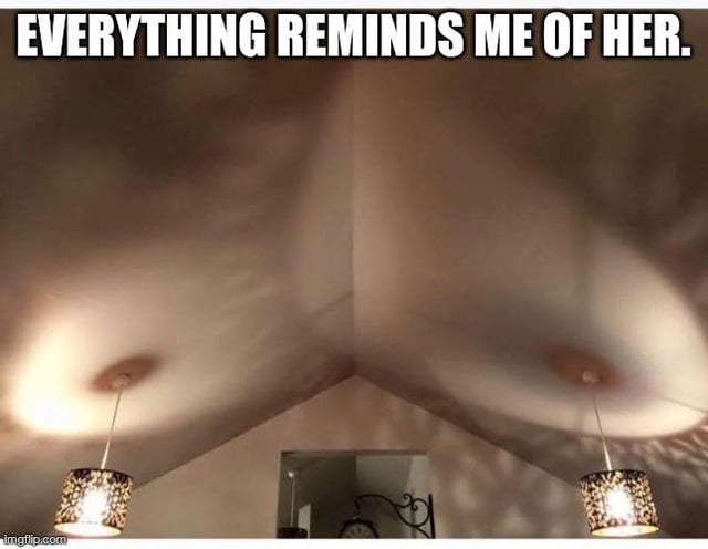 This is a single-panel visual pun meme. The image is a low-angle photograph of a two-sloped gabled residential interior ceiling, with two matching pendant light fixtures hanging symmetrically from each slope of the ceiling. The curved shape of the sloped ceiling, the circular mounting points for the lights, and soft shading on the ceiling surface create a clear optical illusion that makes the ceiling look like a pair of human breasts. Bold white text with a black outline is printed across the top of the image, reading 'EVERYTHING REMINDS ME OF HER.' The joke plays on the common trope of someone pining for a former romantic partner seeing reminders of that person, specifically their body, in completely unrelated, mundane everyday scenery and objects.