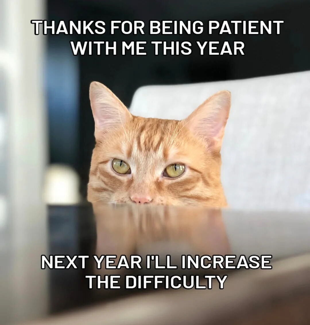 A photograph of an orange tabby cat with large, expressive green eyes looking directly at the camera. The cat has prominent ears and distinctive tabby stripes. Behind the cat is a blurred indoor background with what appears to be a white chair or couch. There is bold white text at the top of the image that reads 'THANKS FOR BEING PATIENT WITH ME THIS YEAR' and additional bold white text at the bottom that reads 'NEXT YEAR I'LL INCREASE THE DIFFICULTY'. The cat's earnest expression combined with the humorous text creates a wholesome yet playful meme.