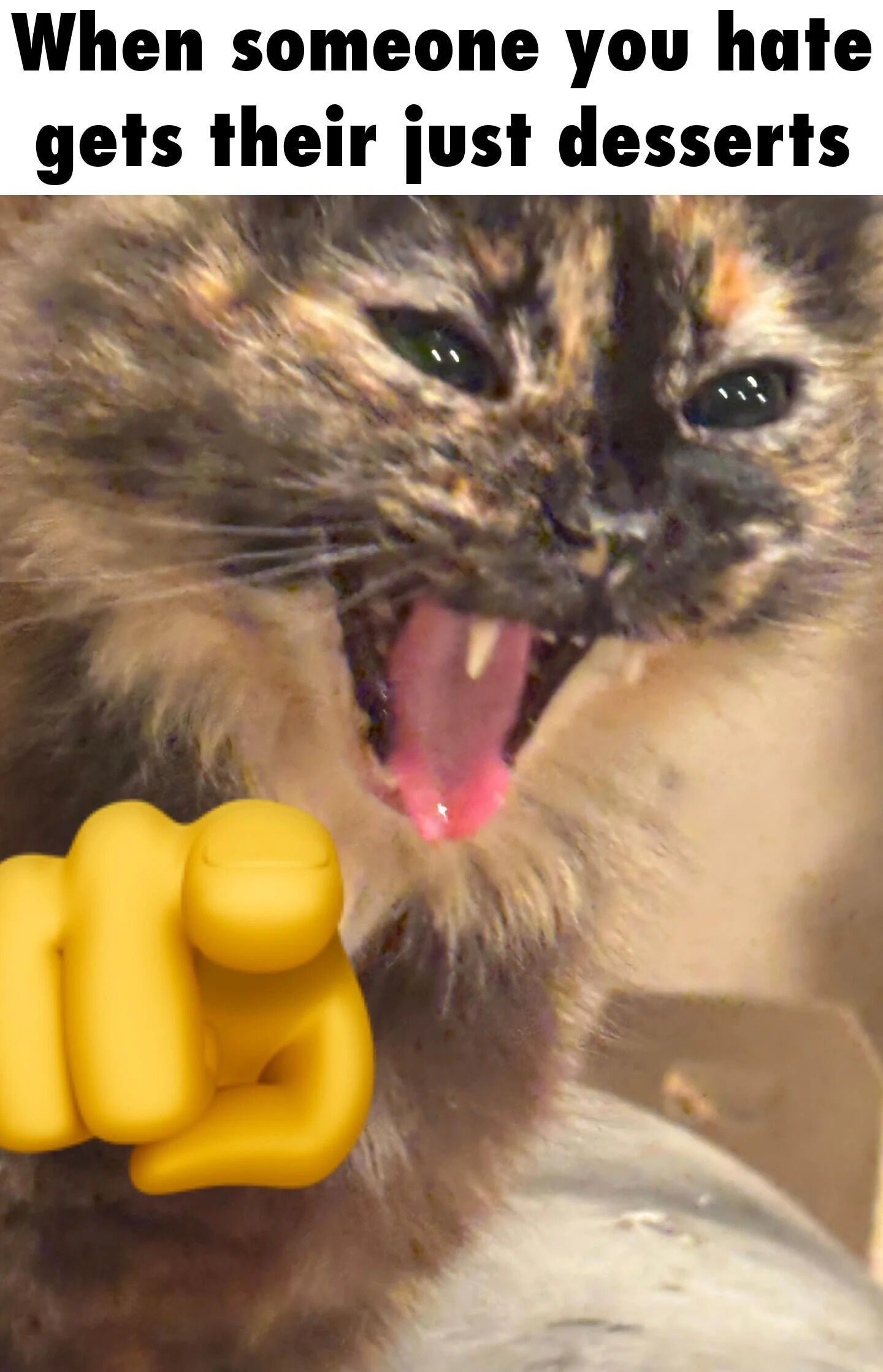 The image features a top text overlay that reads 'When someone you hate gets their just desserts'. Below the text is a photograph of a calico cat with its mouth wide open, displaying its teeth and tongue, conveying an excited or triumphant expression. In the foreground, there is a yellow, 3D-rendered fist (resembling an emoji) pointing forward, enhancing the celebratory tone. The combination of the text and the cat's animated expression effectively communicates a sense of satisfaction or vindication when someone perceived as deserving negative consequences faces their comeuppance.