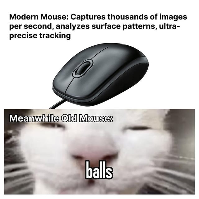 This is a two-panel comparison meme that uses a double entendre pun for comedic effect. The top panel shows a modern optical computer mouse, paired with text explaining the features of modern mouse technology: modern mice capture thousands of images per second, analyze surface patterns, and have ultra-precise tracking. The bottom panel, labeled 'Meanwhile Old Mouse:', features a close-up, blurred photograph of a cat's face, where the nose and fur markings accidentally form a visual resemblance to testicles. The overlaid text reads 'balls'. The joke relies on two meanings of the word: old mechanical computer mice used a rubber ball as their core tracking component, while 'balls' is also vulgar slang for testicles, which is visually emphasized by the cat's blurred face.
