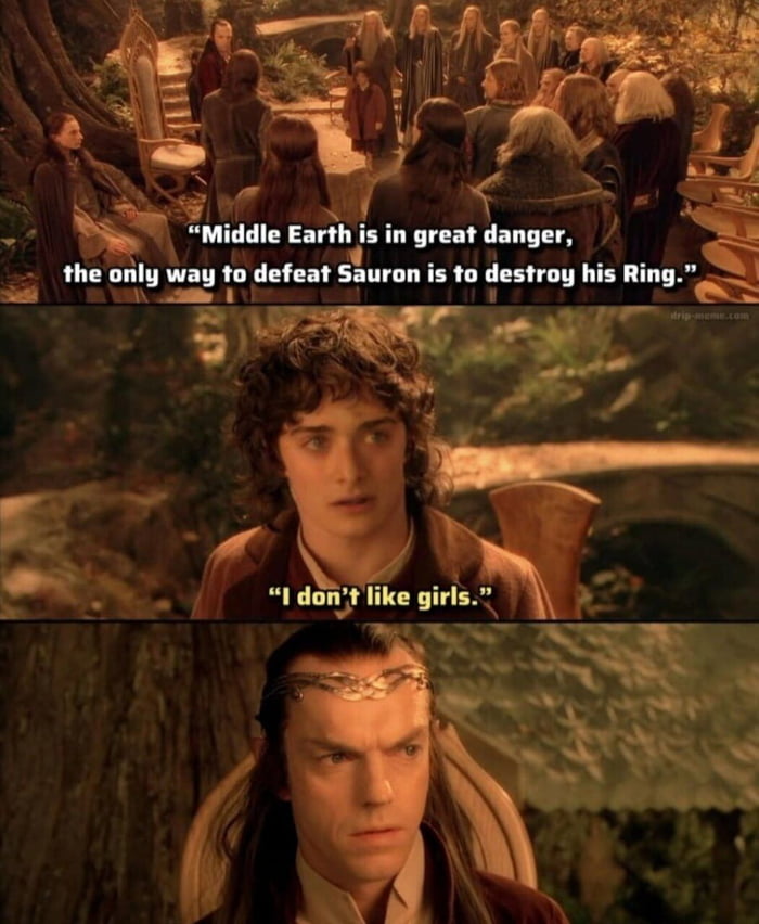 A three-panel meme utilizing screenshots from 'The Lord of the Rings: The Fellowship of the Ring'. The top panel depicts the iconic Council of Elrond with overlaid text: 'Middle Earth is in great danger, the only way to defeat Sauron is to destroy his Ring.' The middle panel shows Frodo Baggins with an unexpected, unrelated response: 'I don't like girls.' The bottom panel features a serious-looking elven character (likely Elrond or Legolas) reacting to the absurd statement. The humor stems from the jarring contrast between the epic, high-stakes context of the original scene and Frodo's trivial, non-sequitur reply.