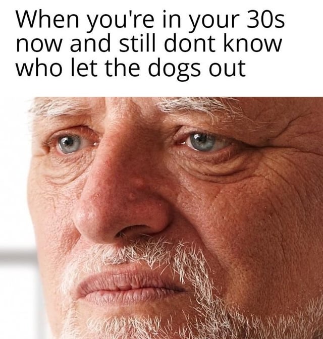 This meme features a close-up portrait of an older man with a weary, confused, and melancholic facial expression. At the top of the image, bold text reads: "When you're in your 30s now and still dont know who let the dogs out". The joke leans into nostalgic 2000s pop culture, referencing the iconic Baha Men hit song *Who Let the Dogs Out?*—a viral party track that repeatedly posed the question but never explicitly answered it. The meme pokes fun at the relatable, trivial confusion felt by millennials (now in their 30s) who grew up with the song, framing this unresolved, silly question as a lingering, minor mystery of their youth. The man's expression perfectly encapsulates the tired, bewildered feeling of carrying this small, unanswered question into adulthood.