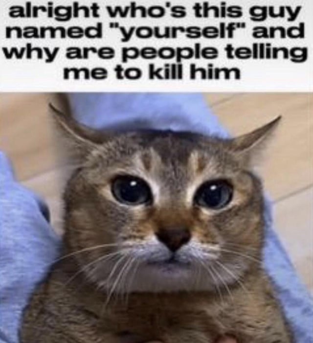 The image consists of two main parts: a top text section and a lower photographic section. The top text reads, 'alright who's this guy named 'yourself' and why are people telling me to kill him,' presented in bold, black font on a white background. Below the text is a close-up photograph of a tabby cat with large, round, wide eyes, looking upward with a slightly tilted head, conveying a sense of confusion and innocence. The cat's expression complements the text, creating the humorous impression that the cat is earnestly asking the question. The meme plays on the common internet phrase 'kill yourself' by taking it literally, misunderstanding 'yourself' as a specific person's name, resulting in a lighthearted joke about linguistic confusion.